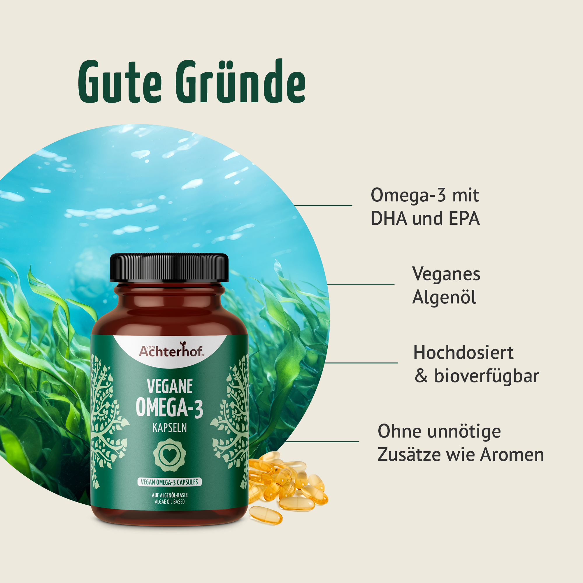 Vegane Omega-3 Kapseln (120 Kapseln)