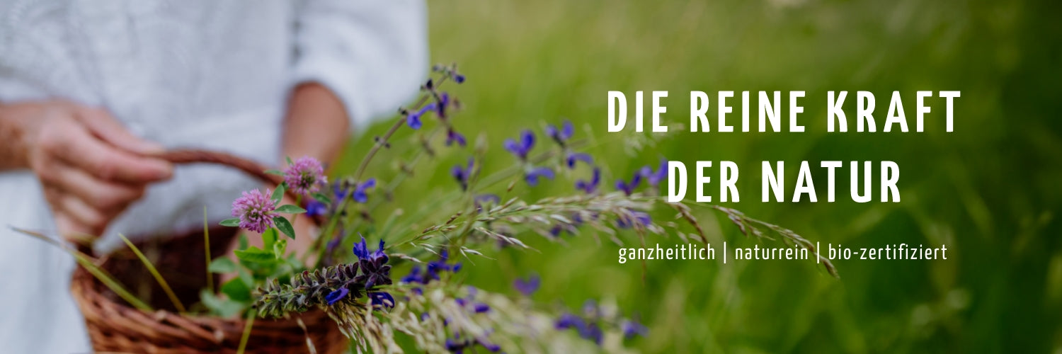 AH_Headerbild_PR-Beitrag_1500x500