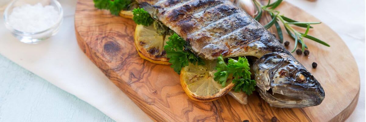 Fisch Header 1500