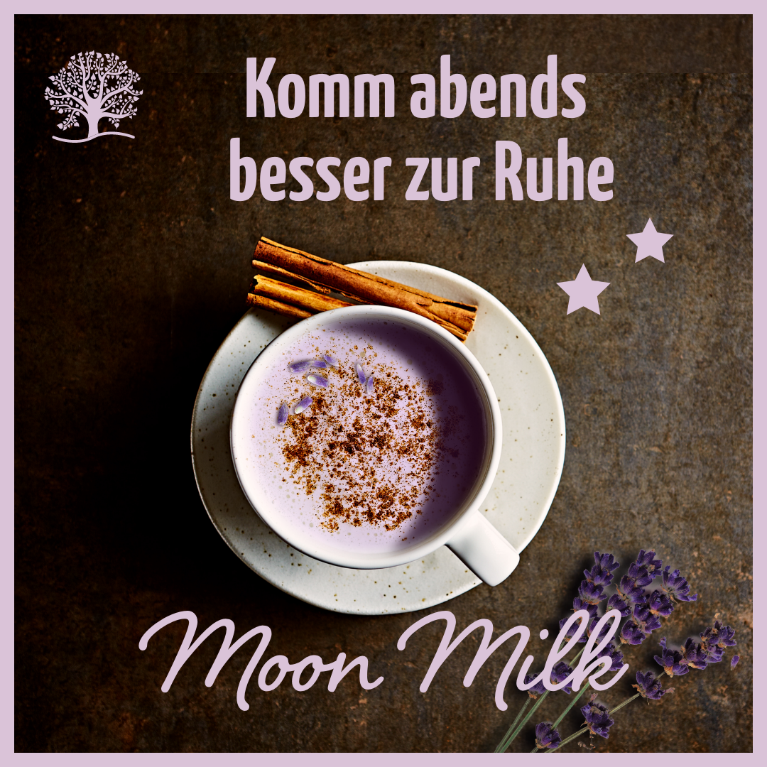 Mond Milch Mischung 3er Bio Set + Frischhaltedosen