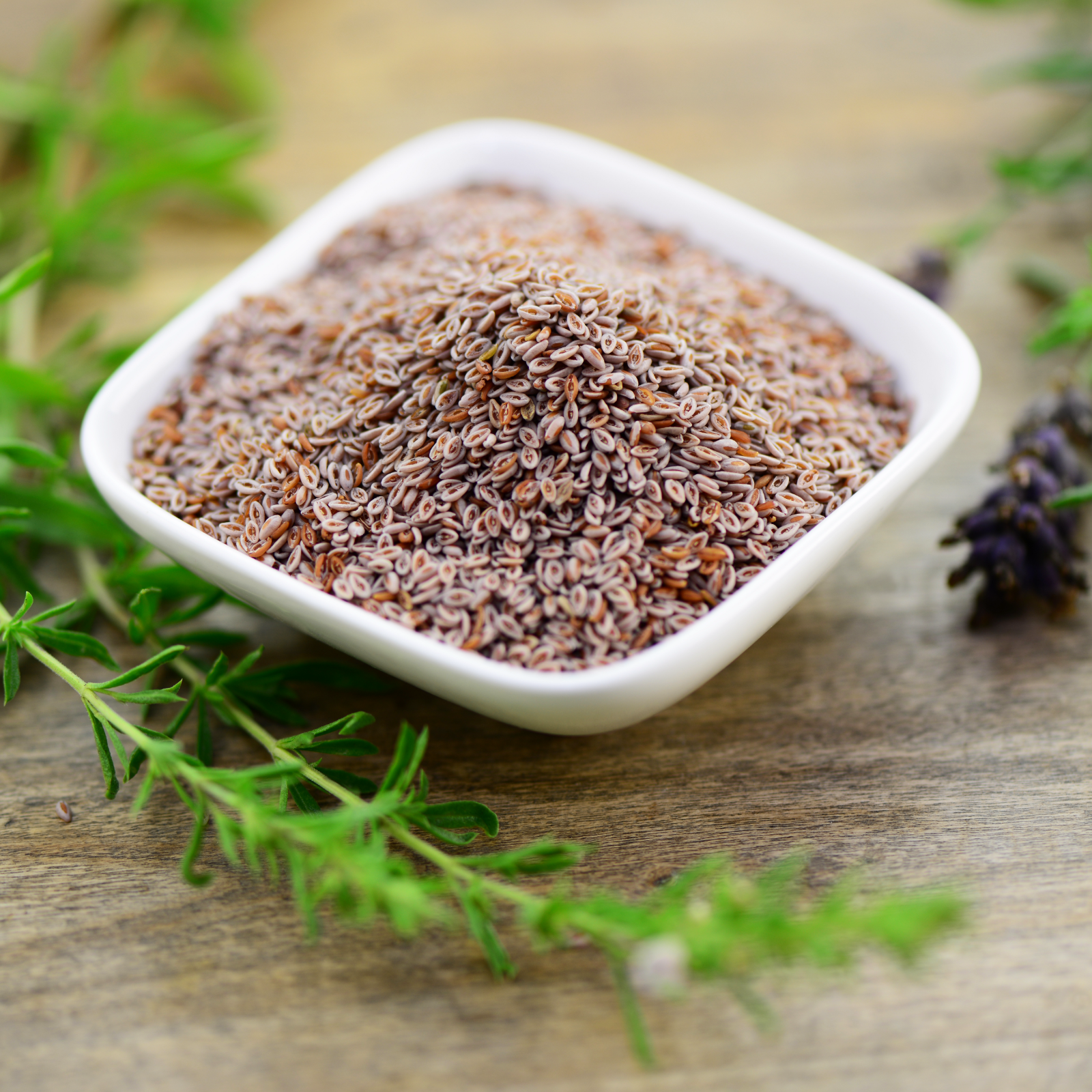 Flohsamenschalen Kapseln Bio (180 Kapseln)