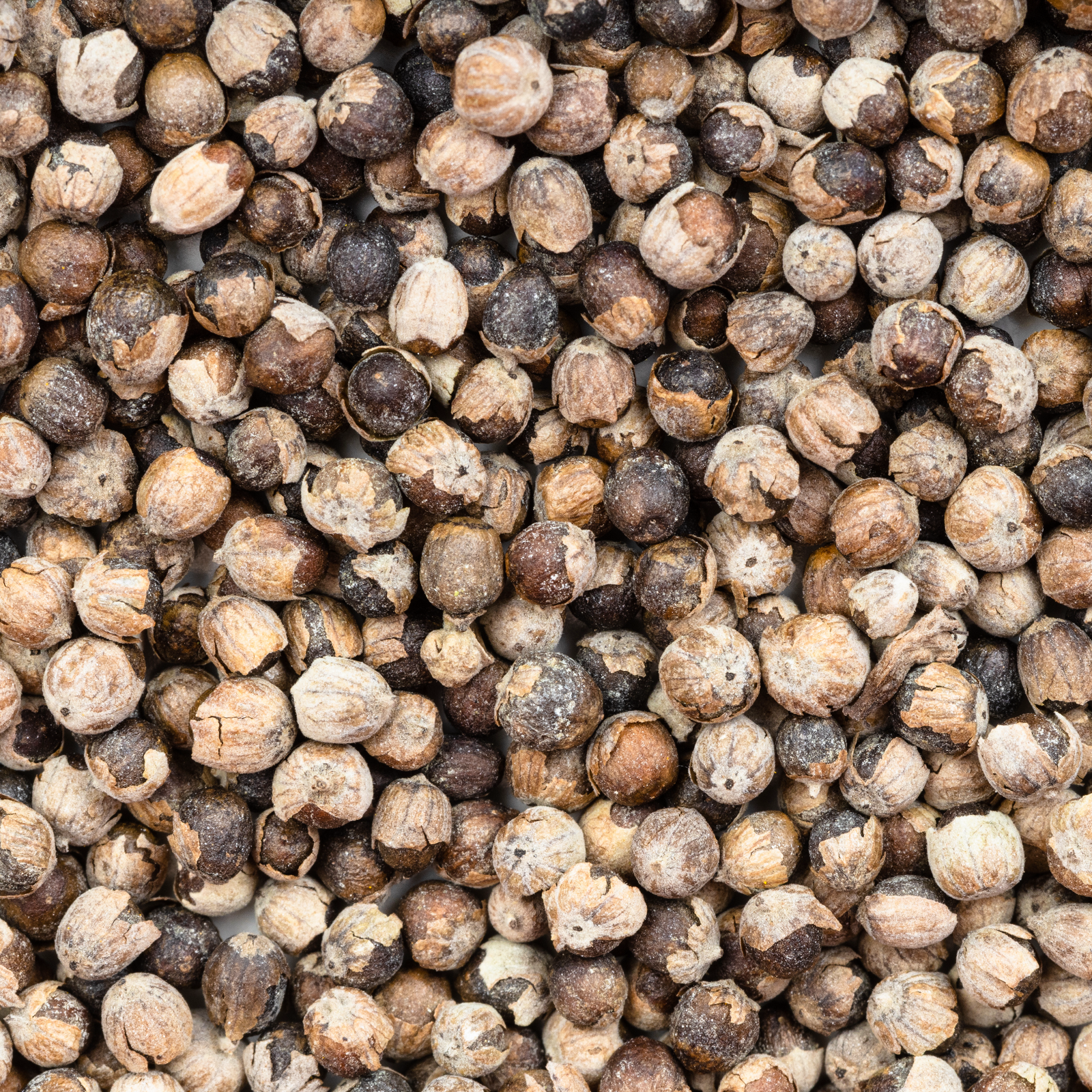 Mönchspfeffer ganz (250g)