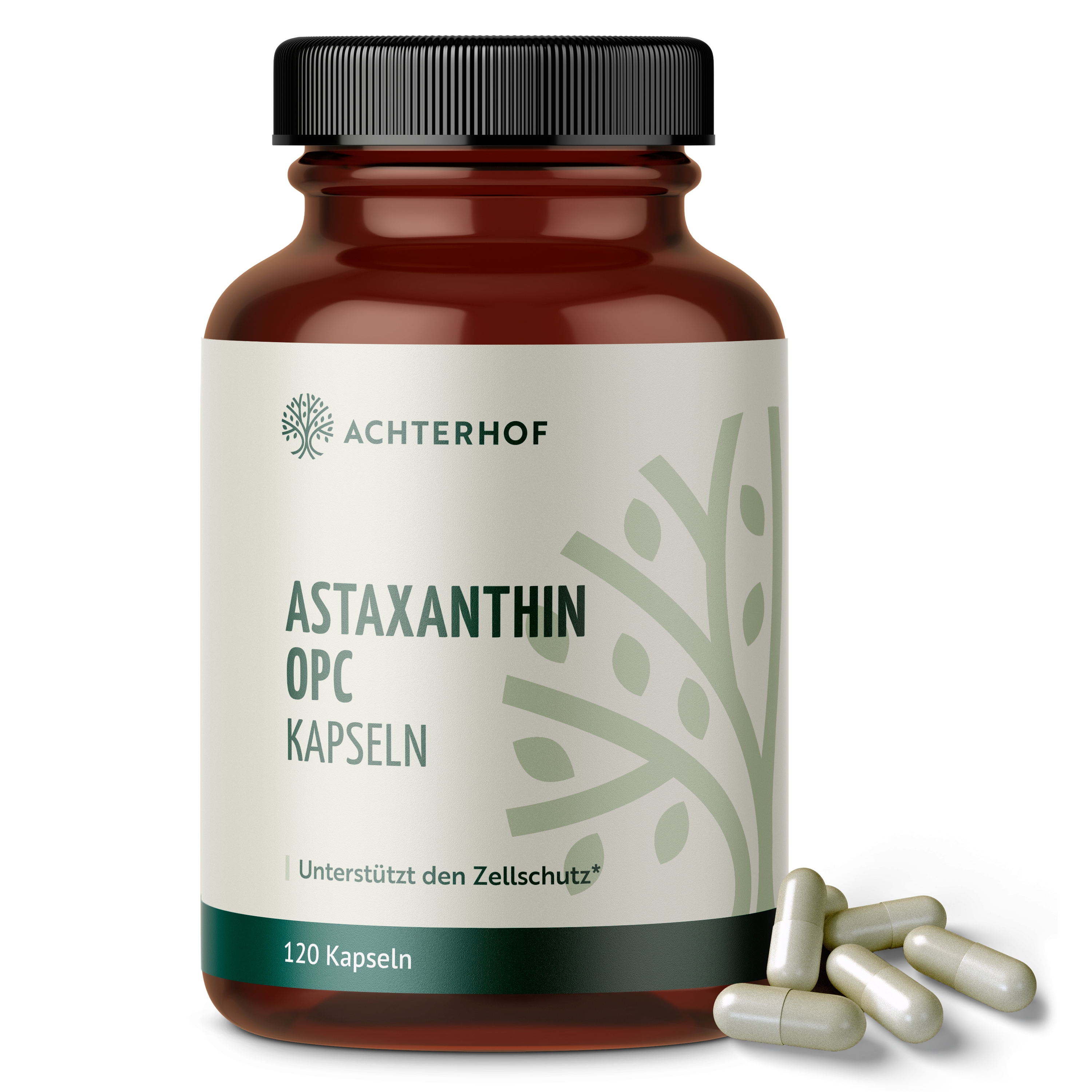 Astaxanthin OPC Zellschutz Kapseln (120 Kapseln)