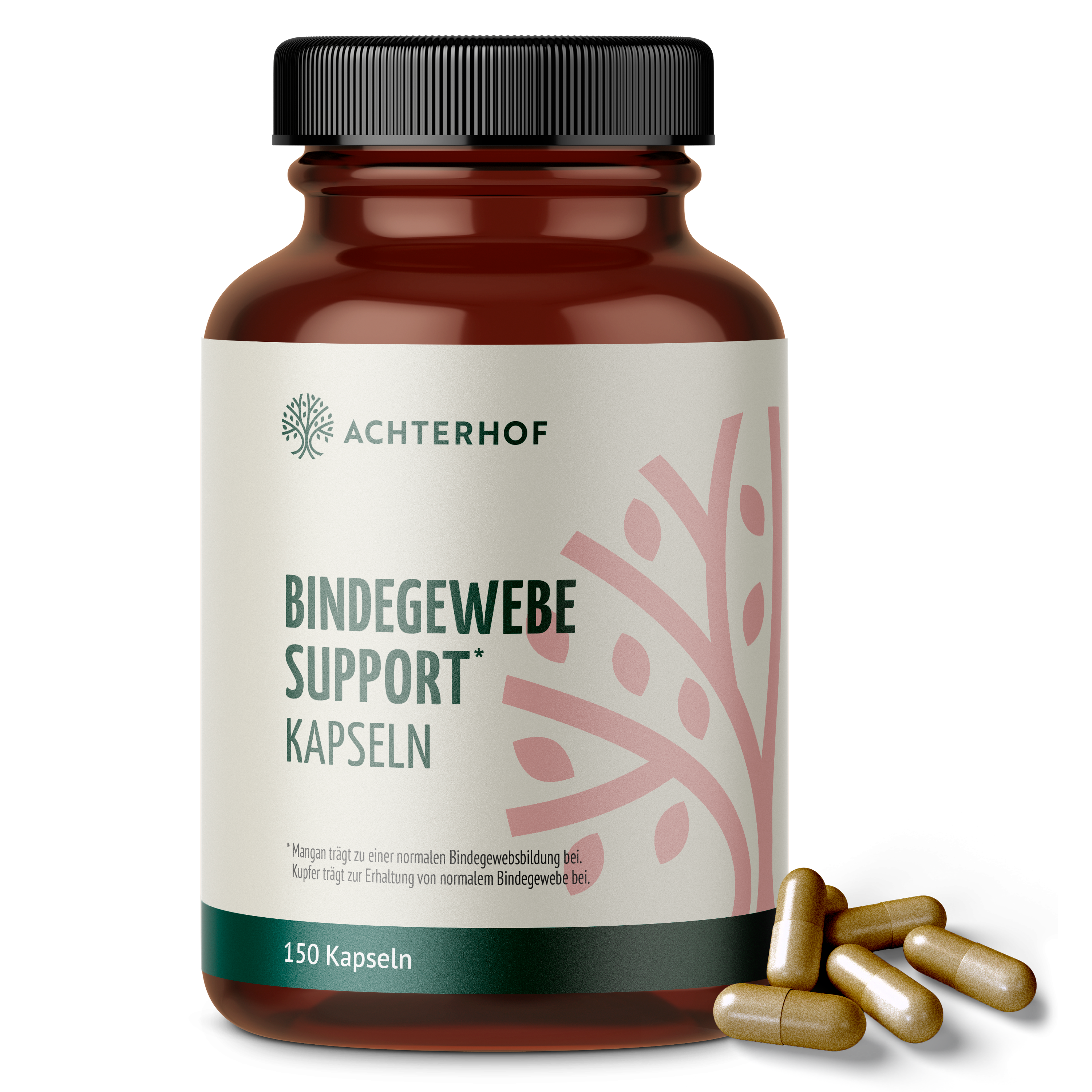 Bindegewebe Support Kapseln (180 Kapseln)