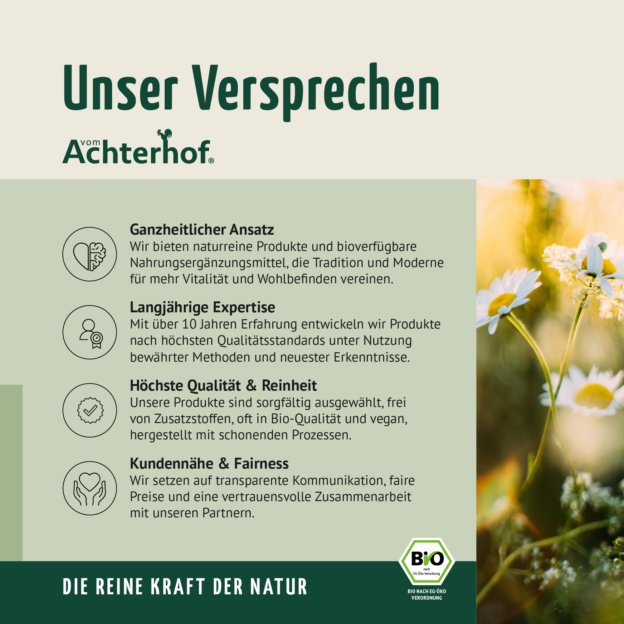 Biotin+Zink+Selen Kapseln (120 Kapseln)