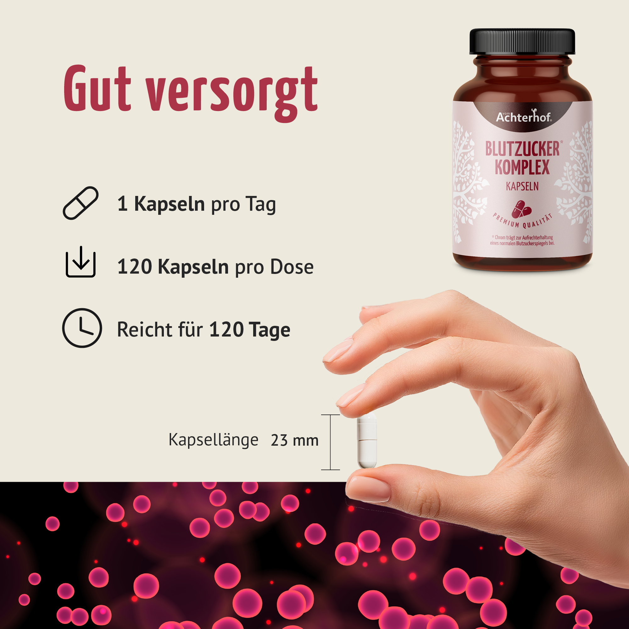 Blutzucker Komplex Kapseln (120 Kapseln)