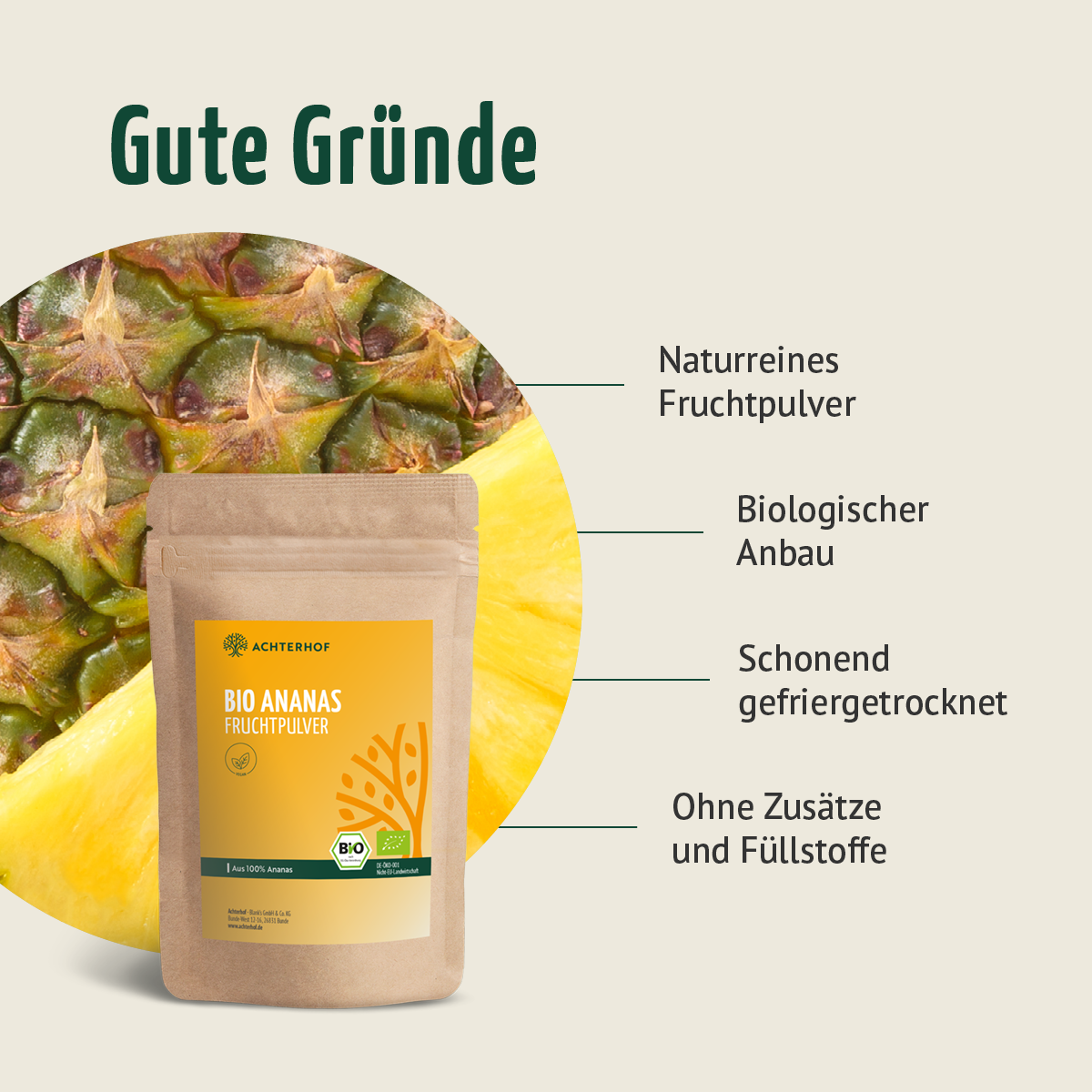 Bio Ananas Fruchtpulver (100g)