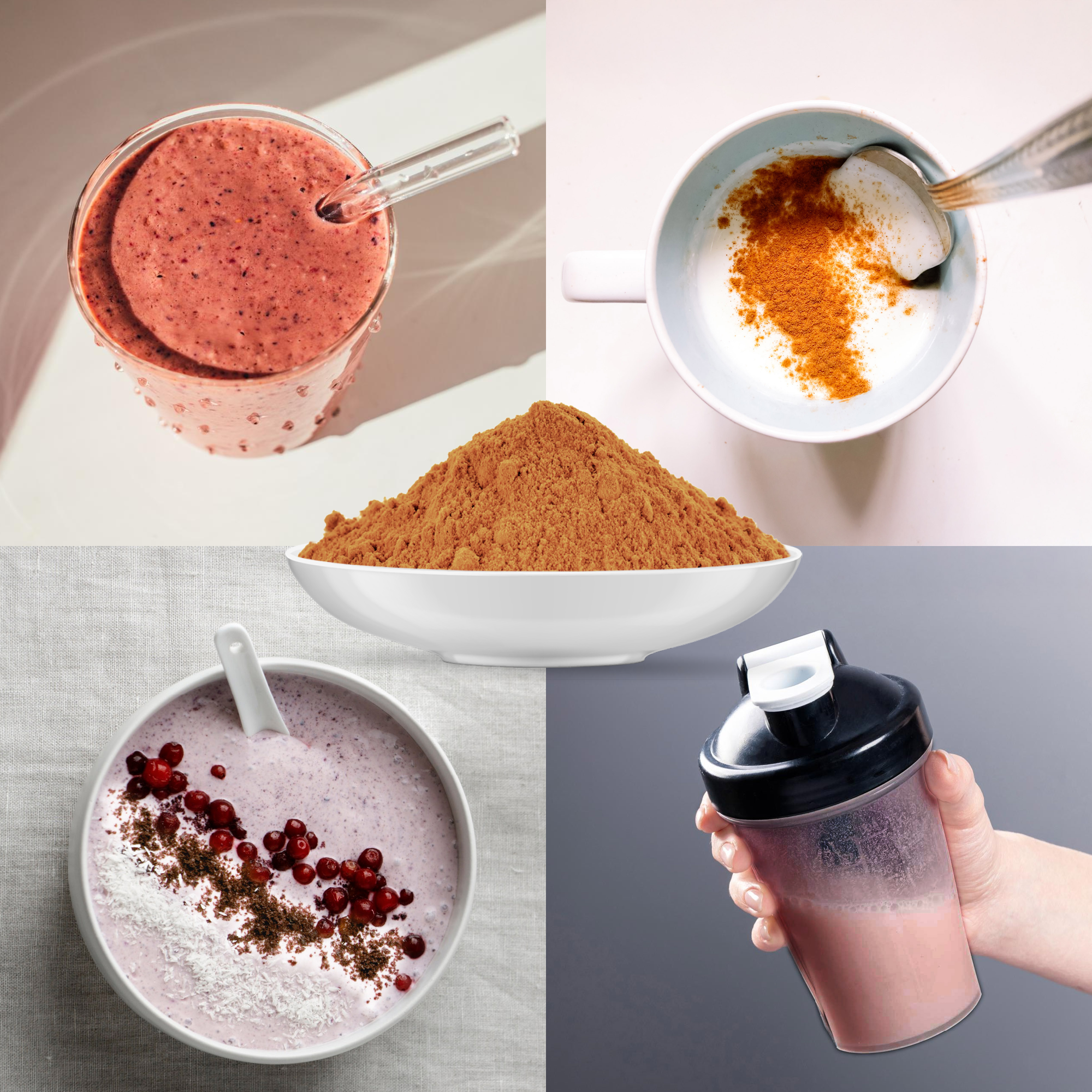 Bio Hagebutten Pulver (50g)