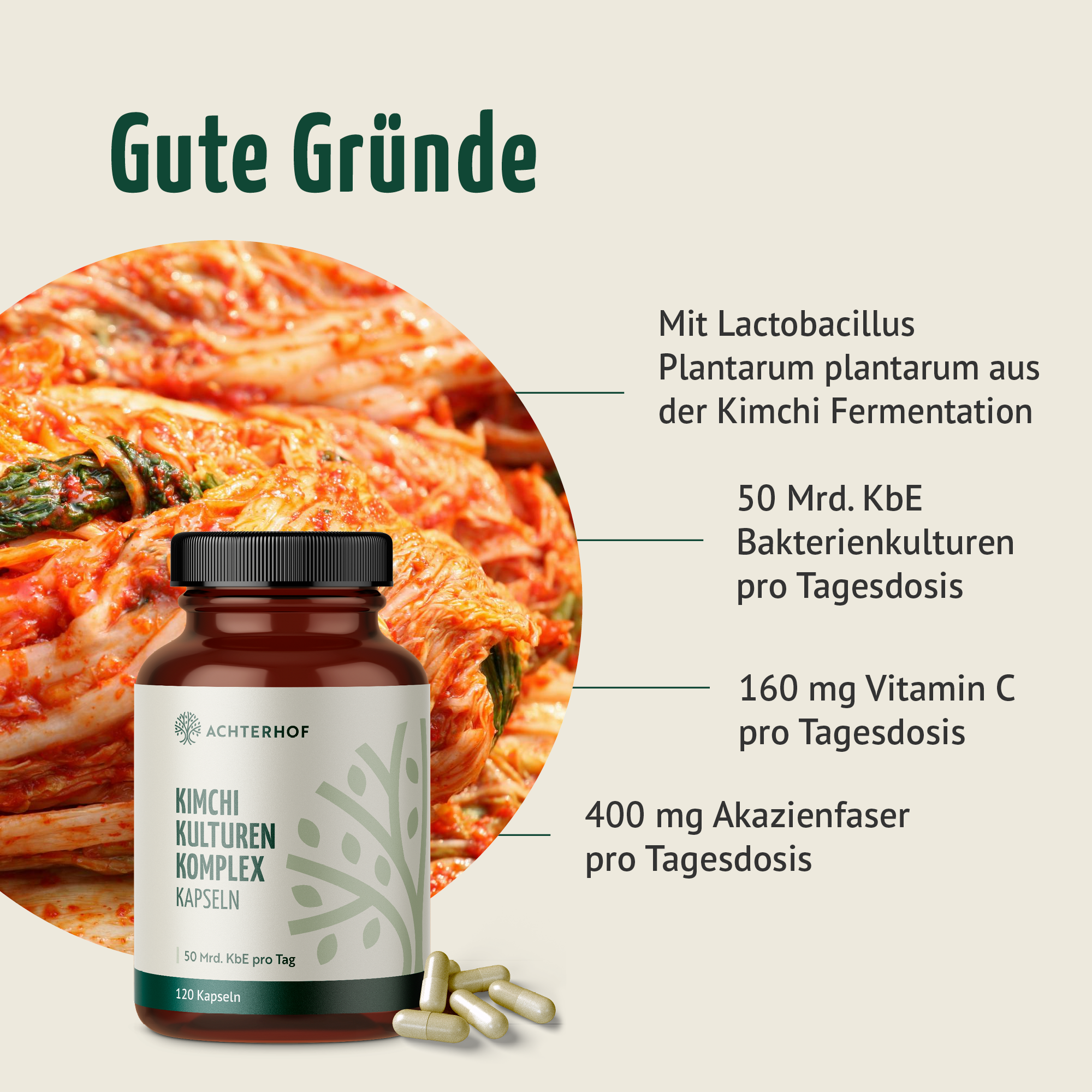 Kimchi Kulturen Komplex (120 Kapseln)