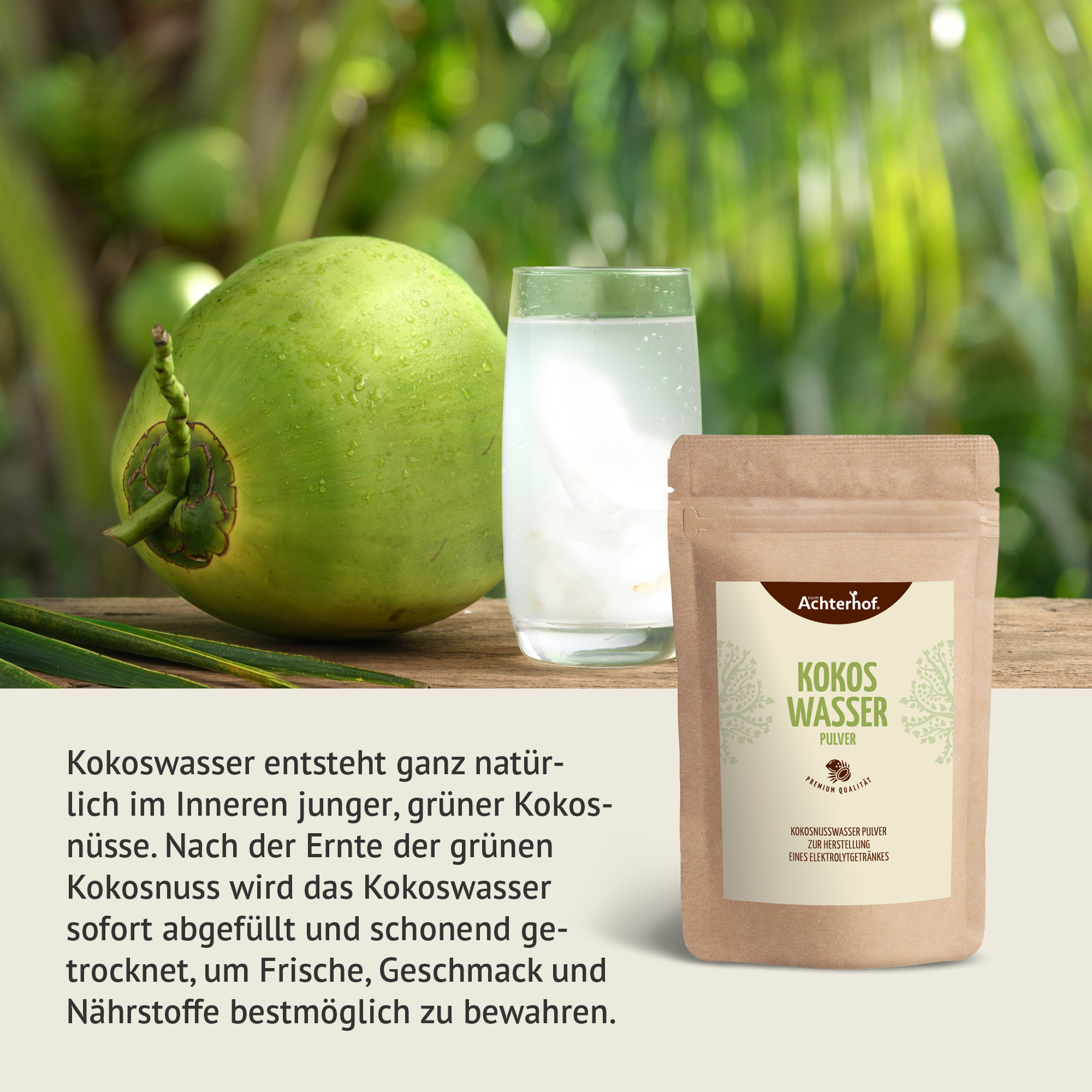 Kokoswasser Pulver (250g)
