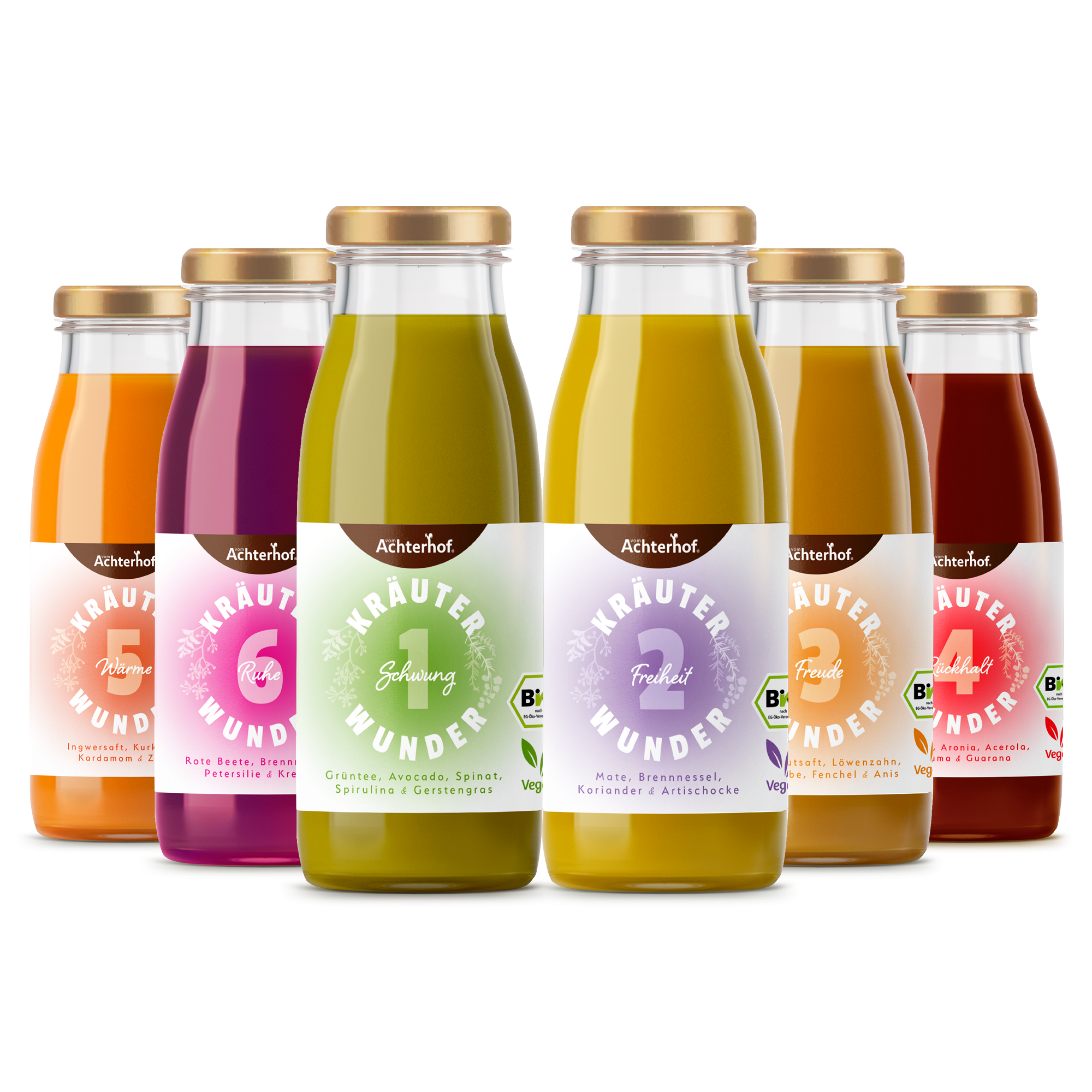 Bio Fastenkur 1 Tag (6 Flaschen) (Test)