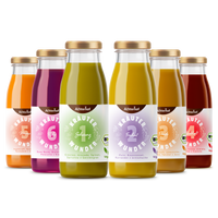 Kräuterwunder Bio Fastenkur 1 Tag (6 Flaschen)