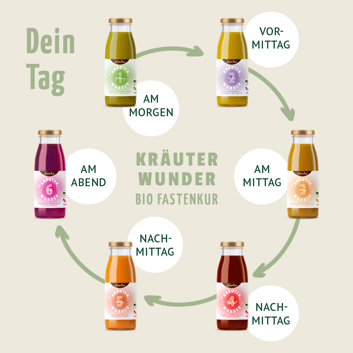 Kräuterwunder Bio Fastenkur 5+1 Tag gratis