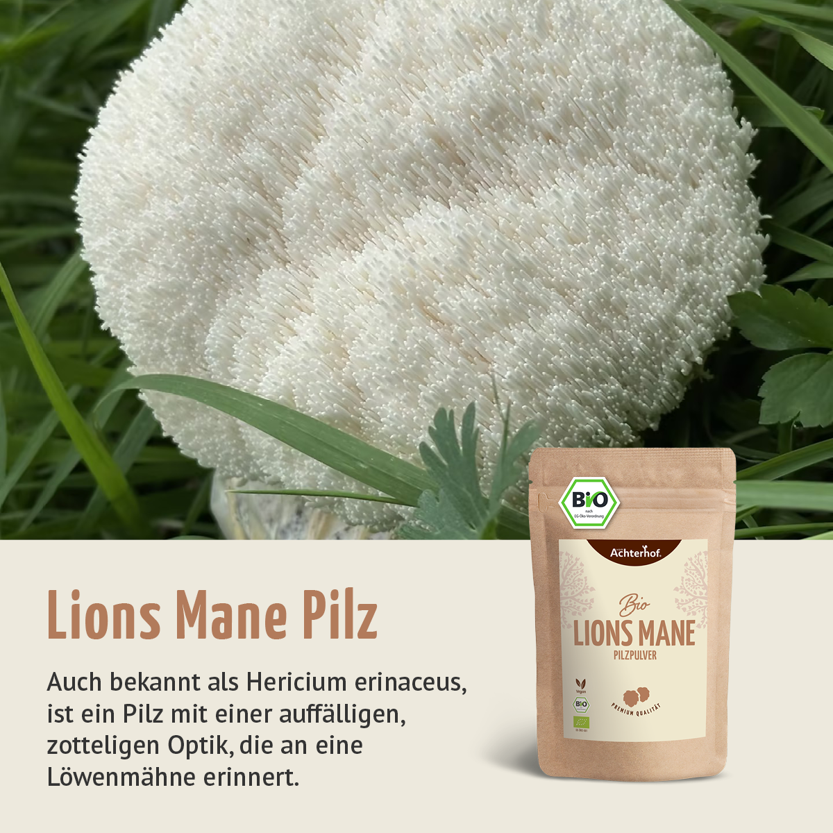 Bio Lions Mane Pilzpulver (100g)