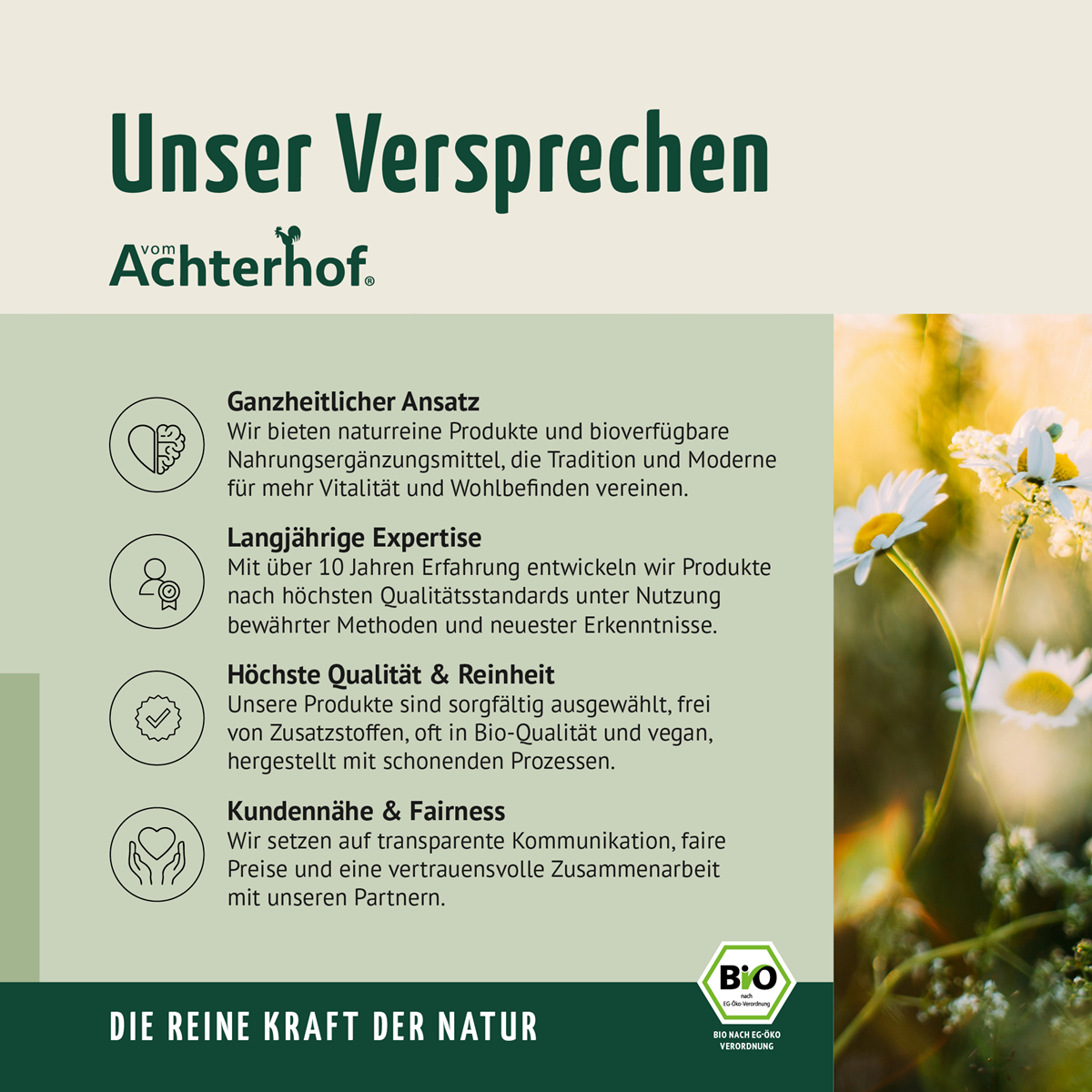 Bio Matcha Grüntee Pulver (250g)