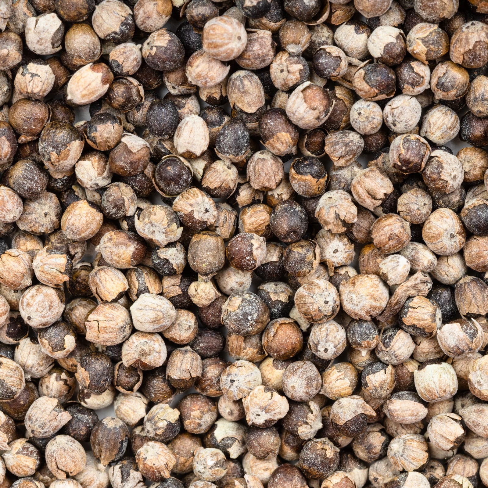 Mönchspfeffer ganz (500g)