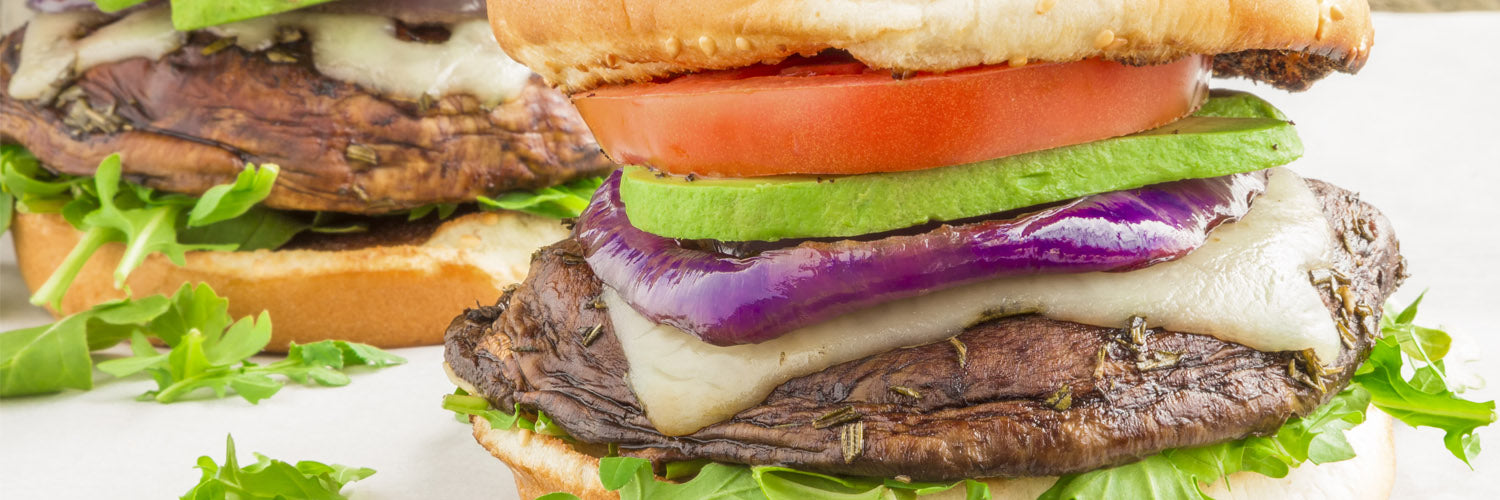 Pilz Burger 1500x500