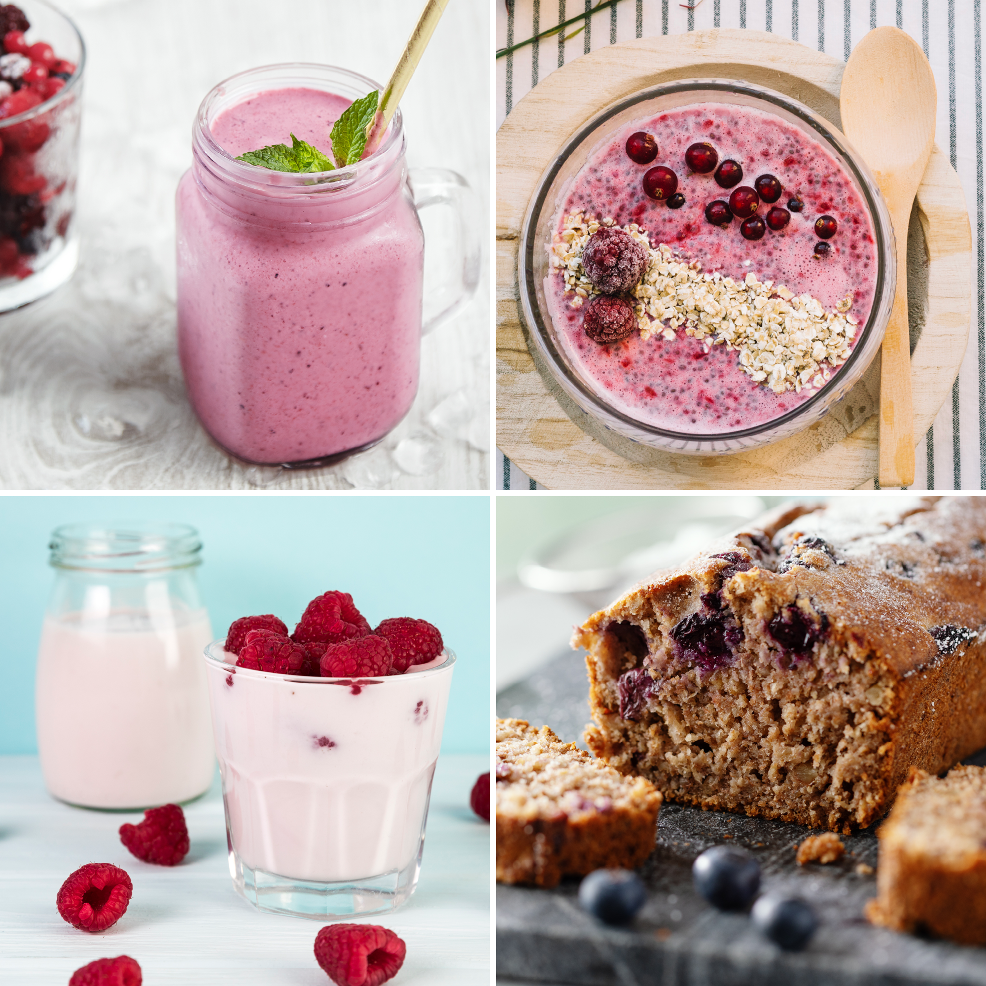 Bio Protein Mix rote Beeren (330g)