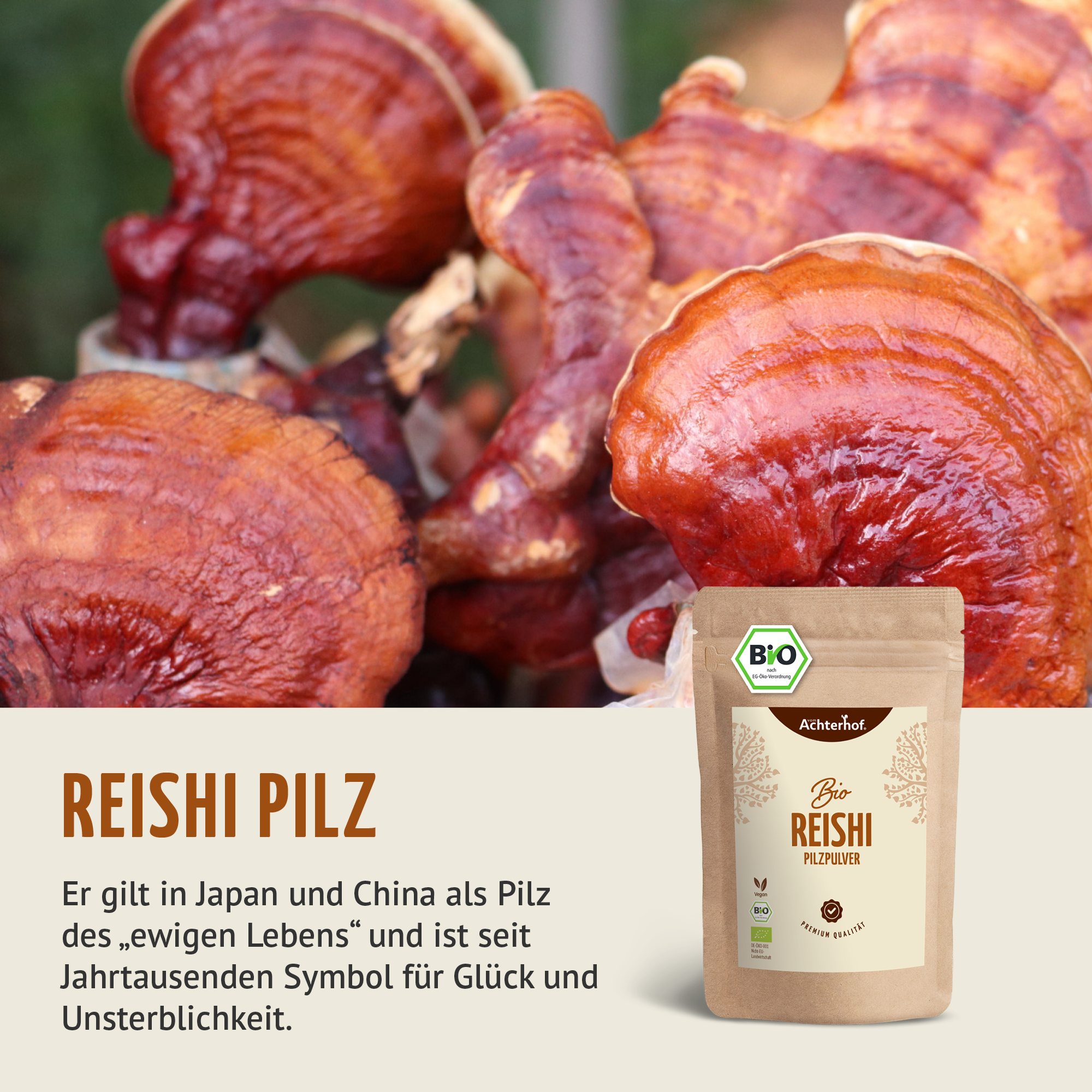 Bio Reishi Pilzpulver (250g)