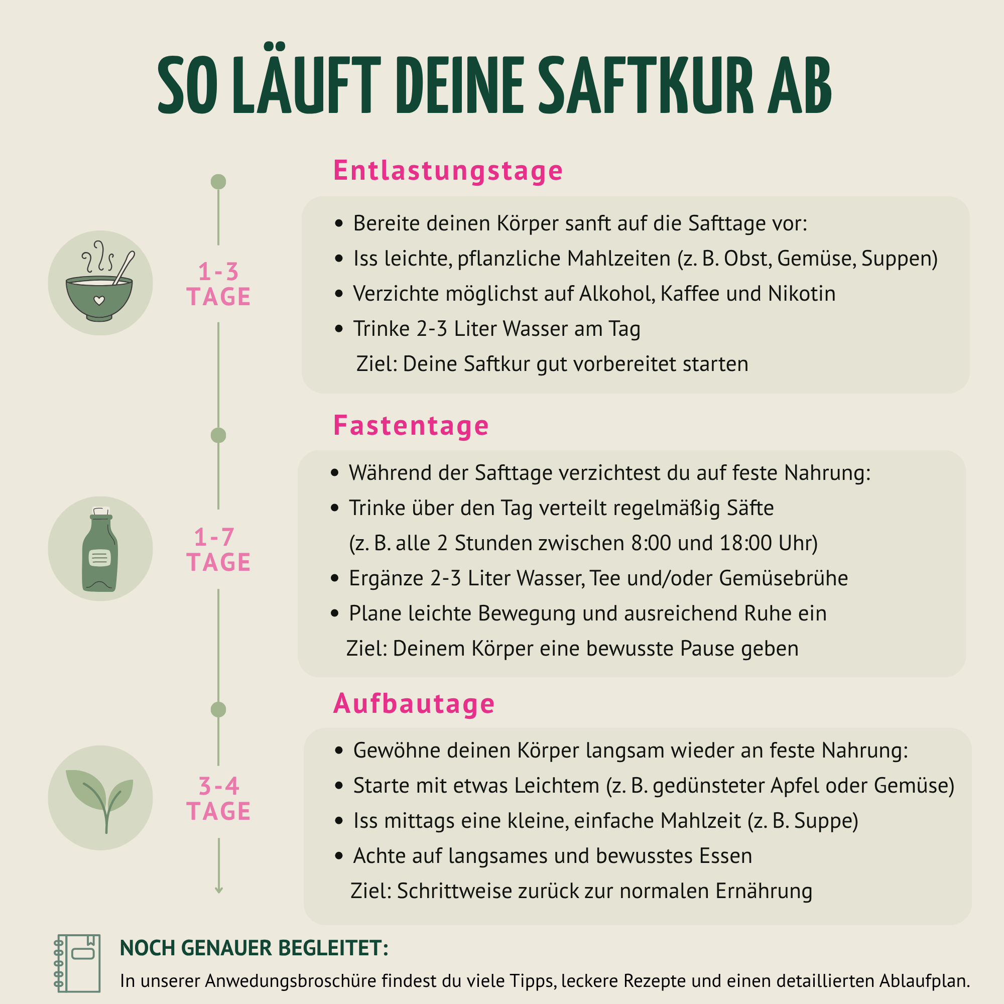 Saftstart Bio Fastenkur 3 Tage (18 Flaschen)