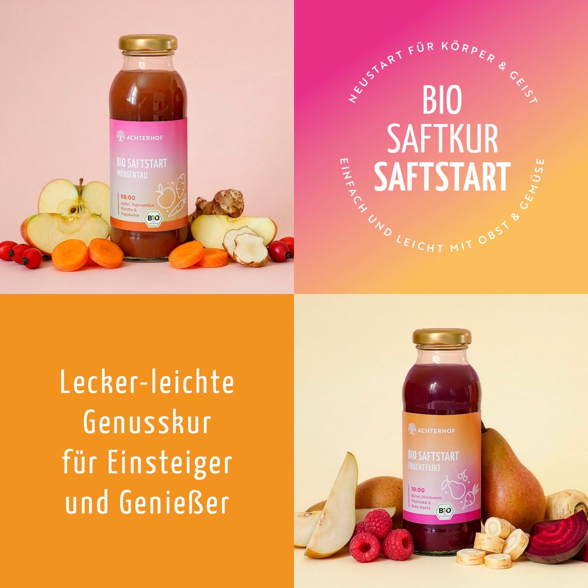 Saftstart Bio Fastenkur 5 Tage (30 Flaschen)
