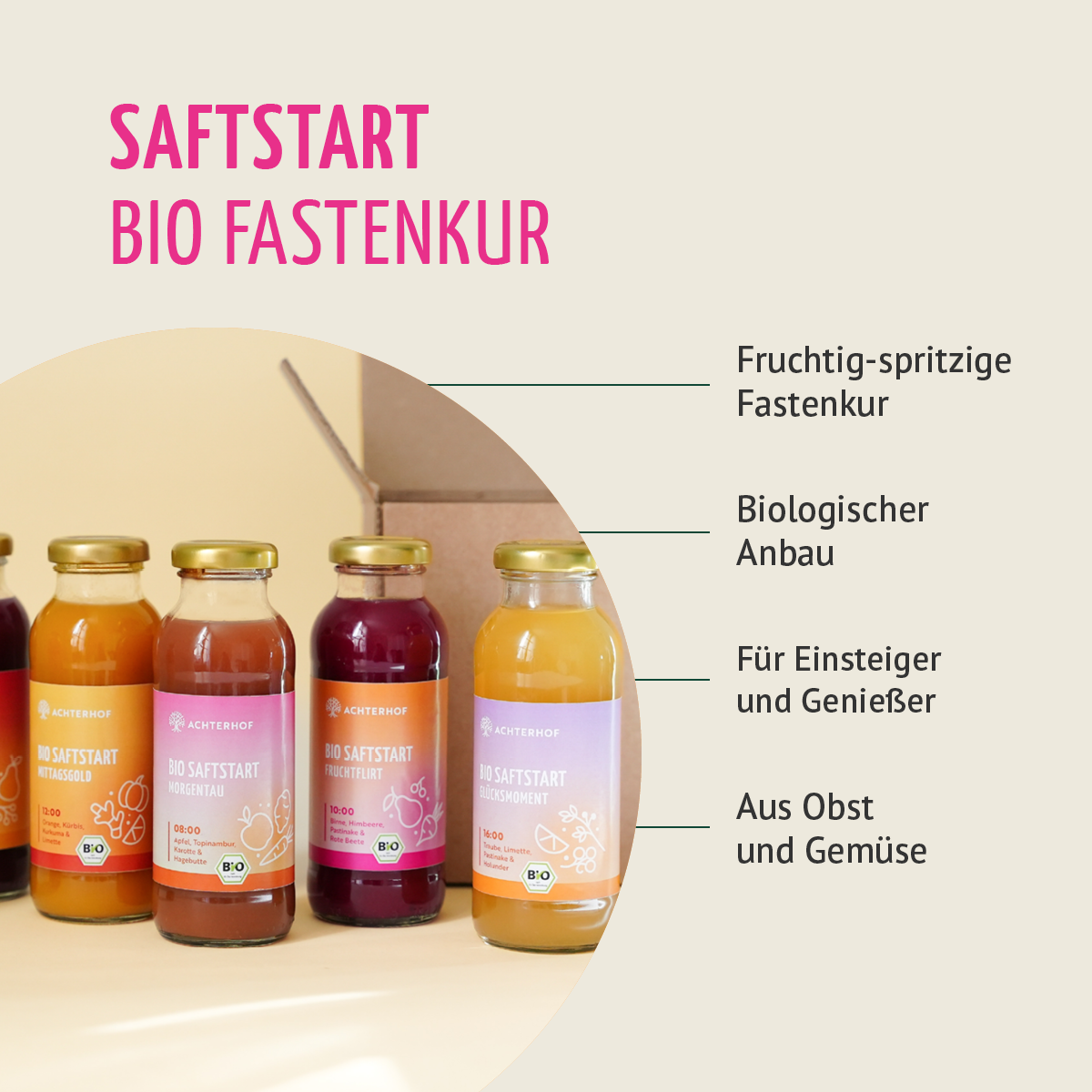 Saftstart Bio Fastenkur 3 Tage (18 Flaschen)