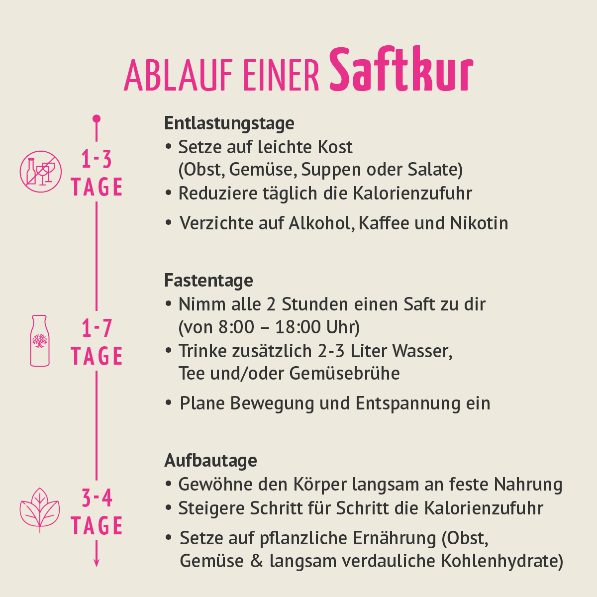 Saftstart Bio Fastenkur 3 Tage (18 Flaschen)