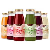 Saftzeit Bio Fastenkur 1 Tag (6 Flaschen)