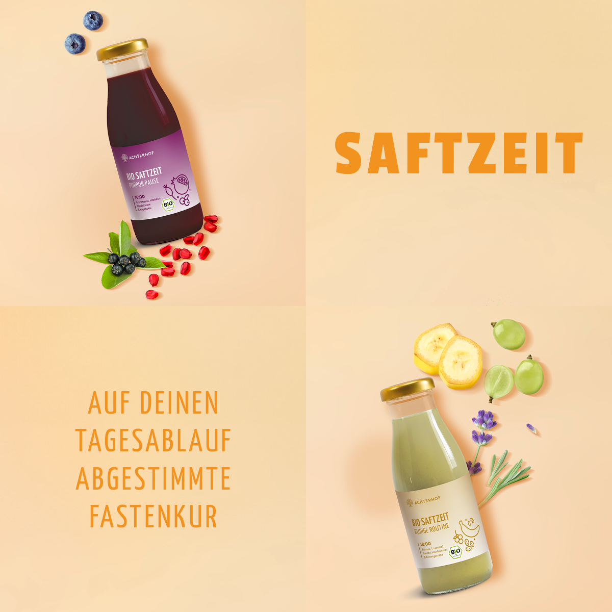 Saftzeit Bio Fastenkur 5 Tage (30 Flaschen)