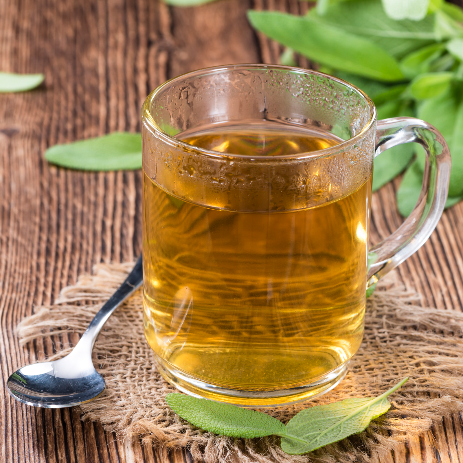 Salbei geschnitten (500g)