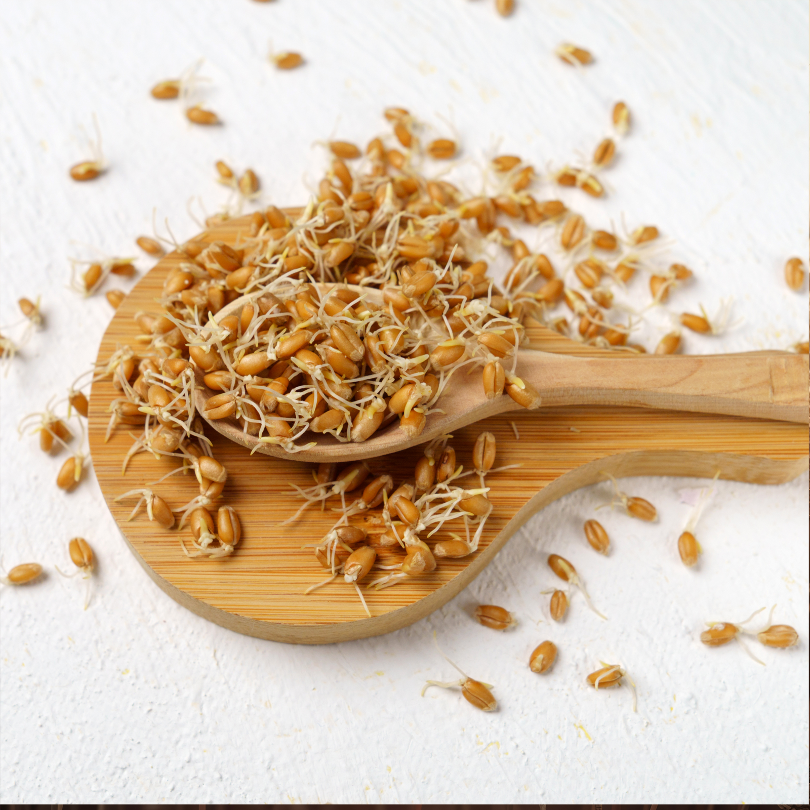 Spermidin aus Weizenkeimen Bio (250g)