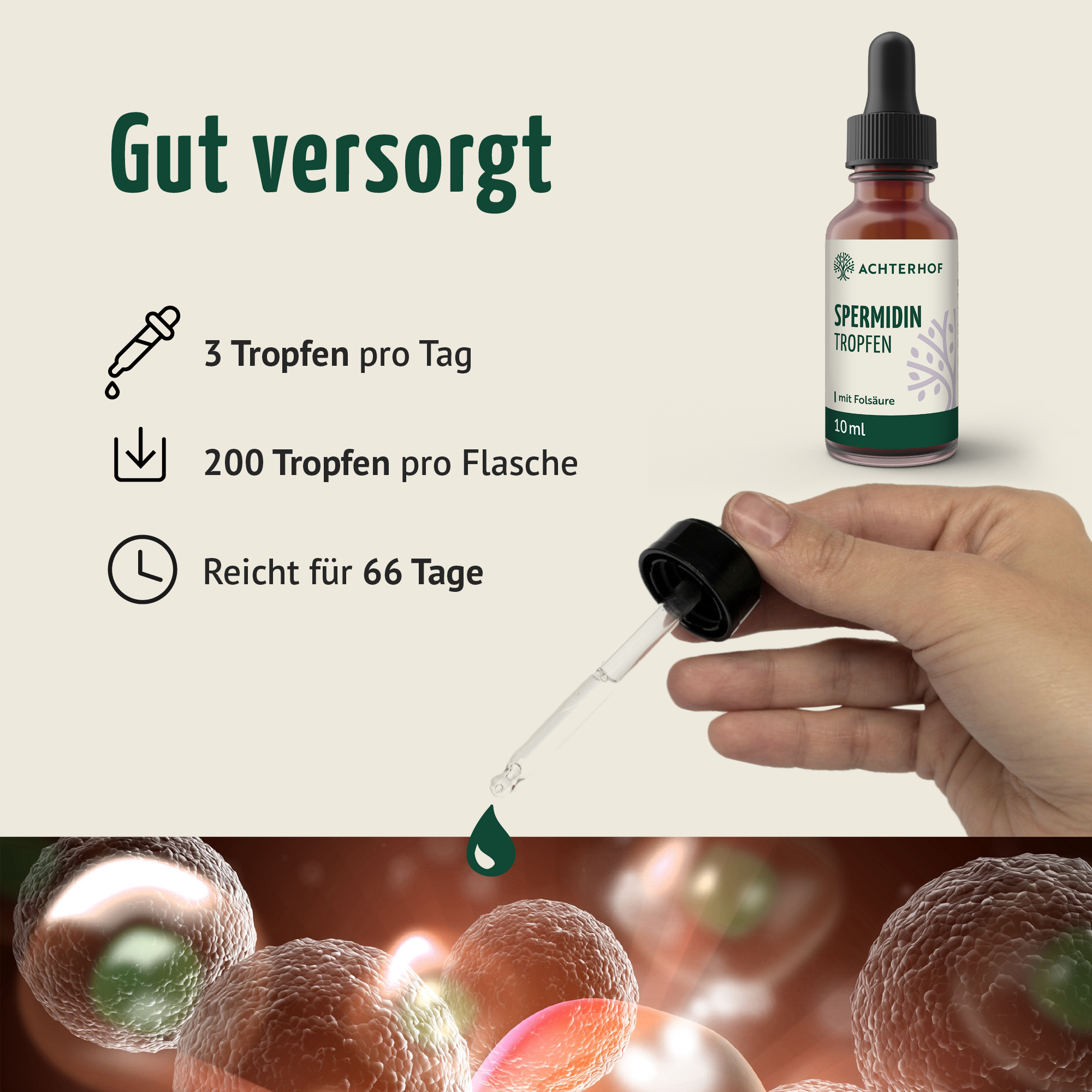 Essential Reds & Spermidin Tropfen Set