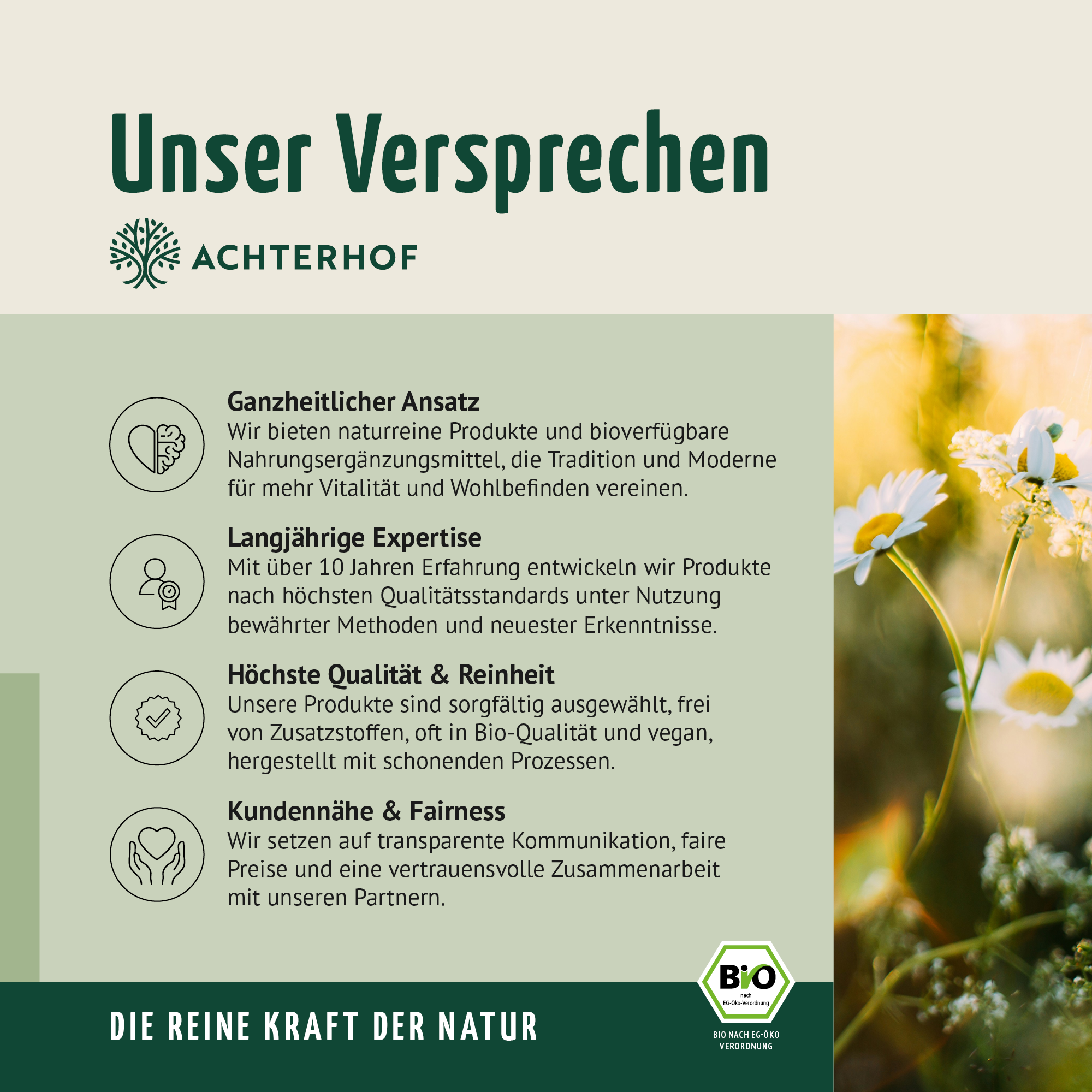 Spermidin B9 Tropfen (10ml)