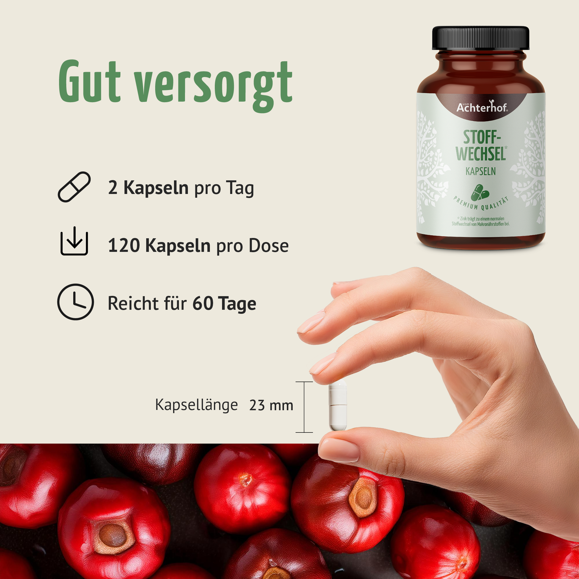 Stoffwechsel Kapseln (120 Kapseln)