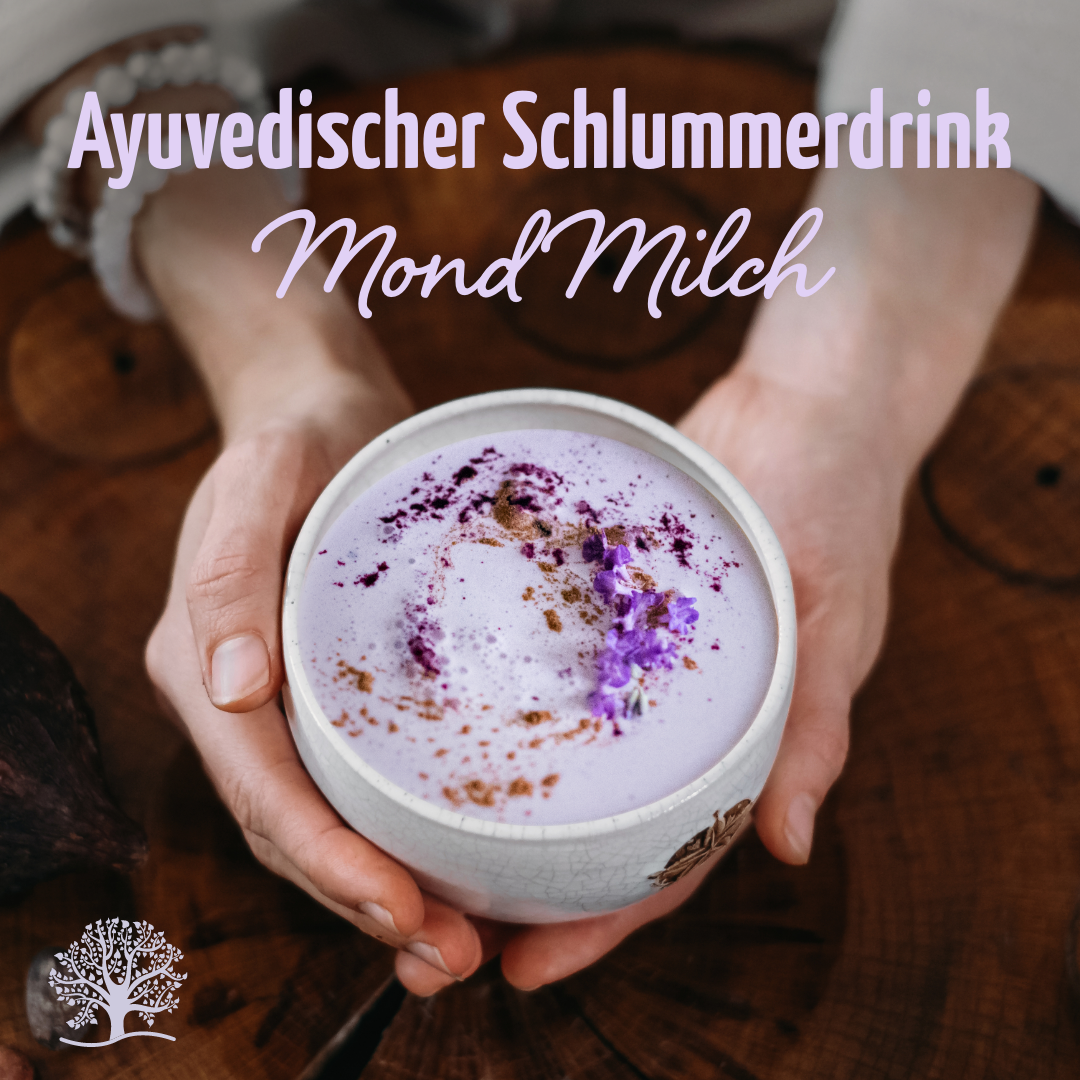 Mond Milch Mischung 3er Bio Set + Frischhaltedosen
