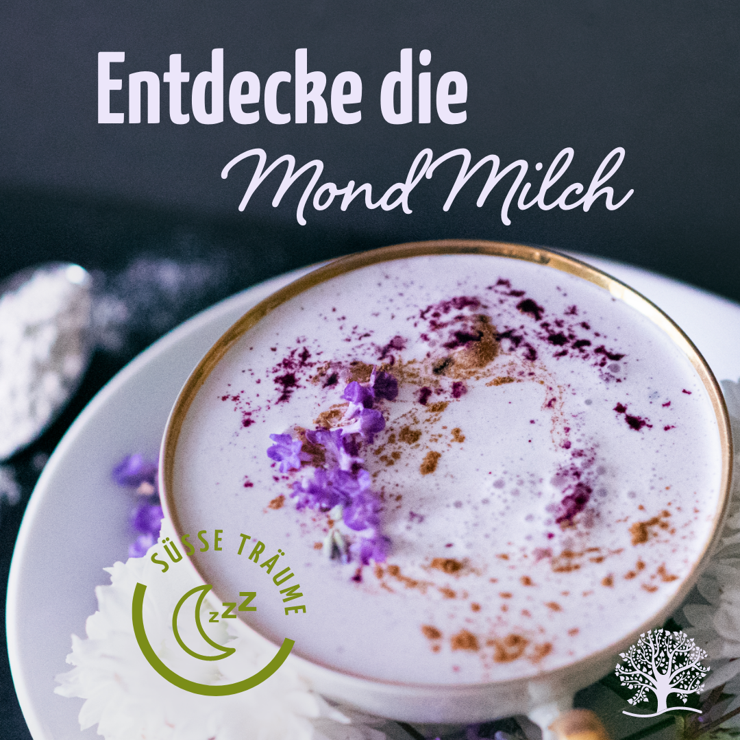 Mond Milch Mischung 3er Bio Set + Frischhaltedosen
