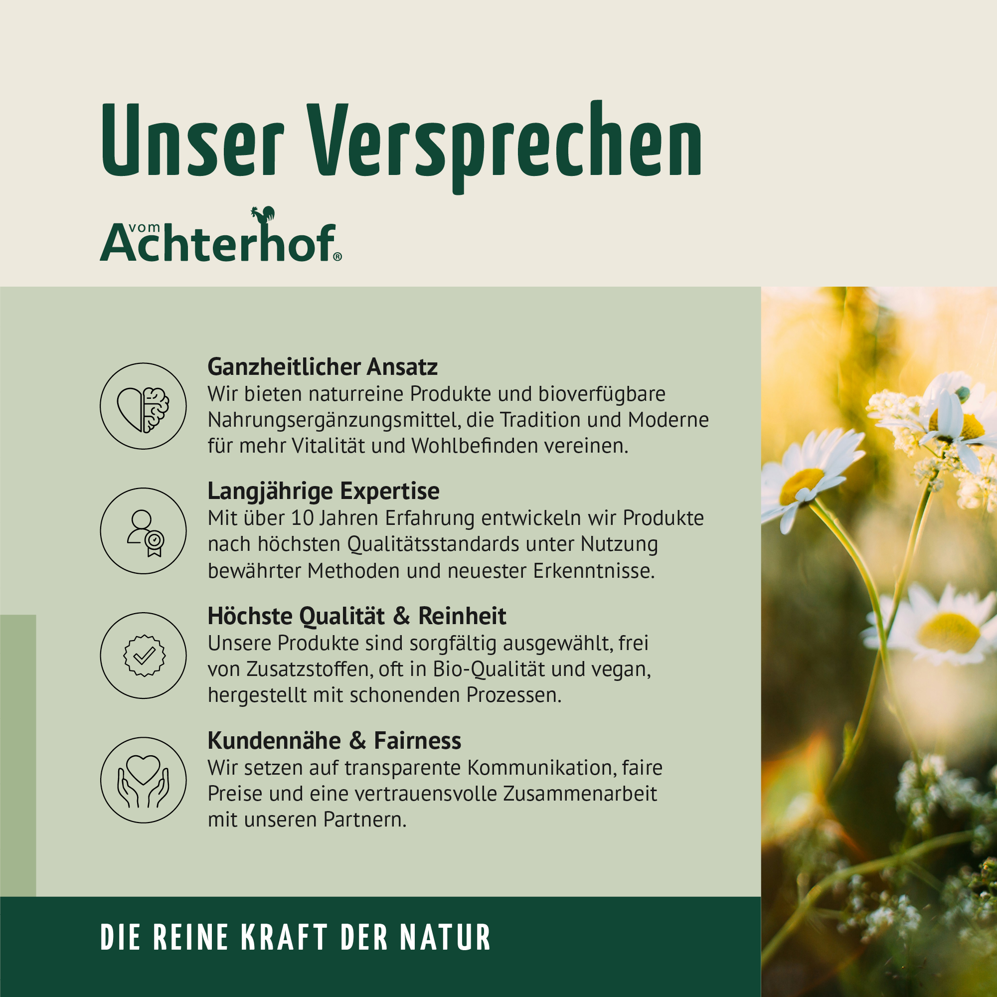 Vitamin D3+K2 Kapseln (180 Kapseln)