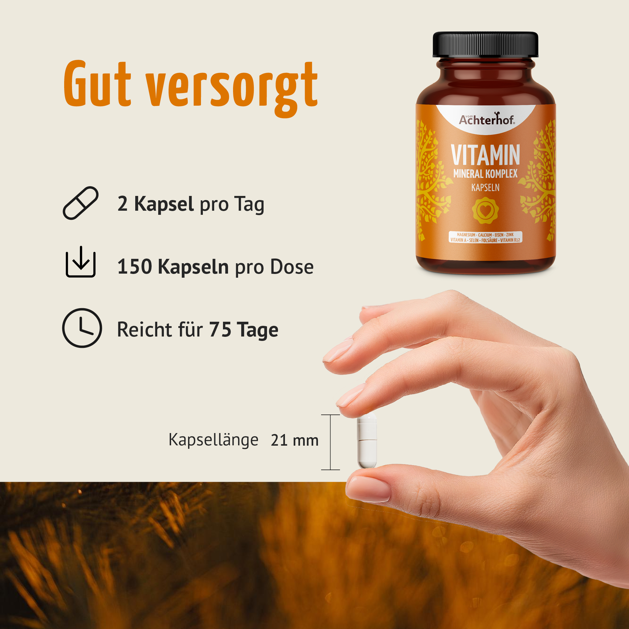 Vitamin Mineral Komplex (150 Kapseln)