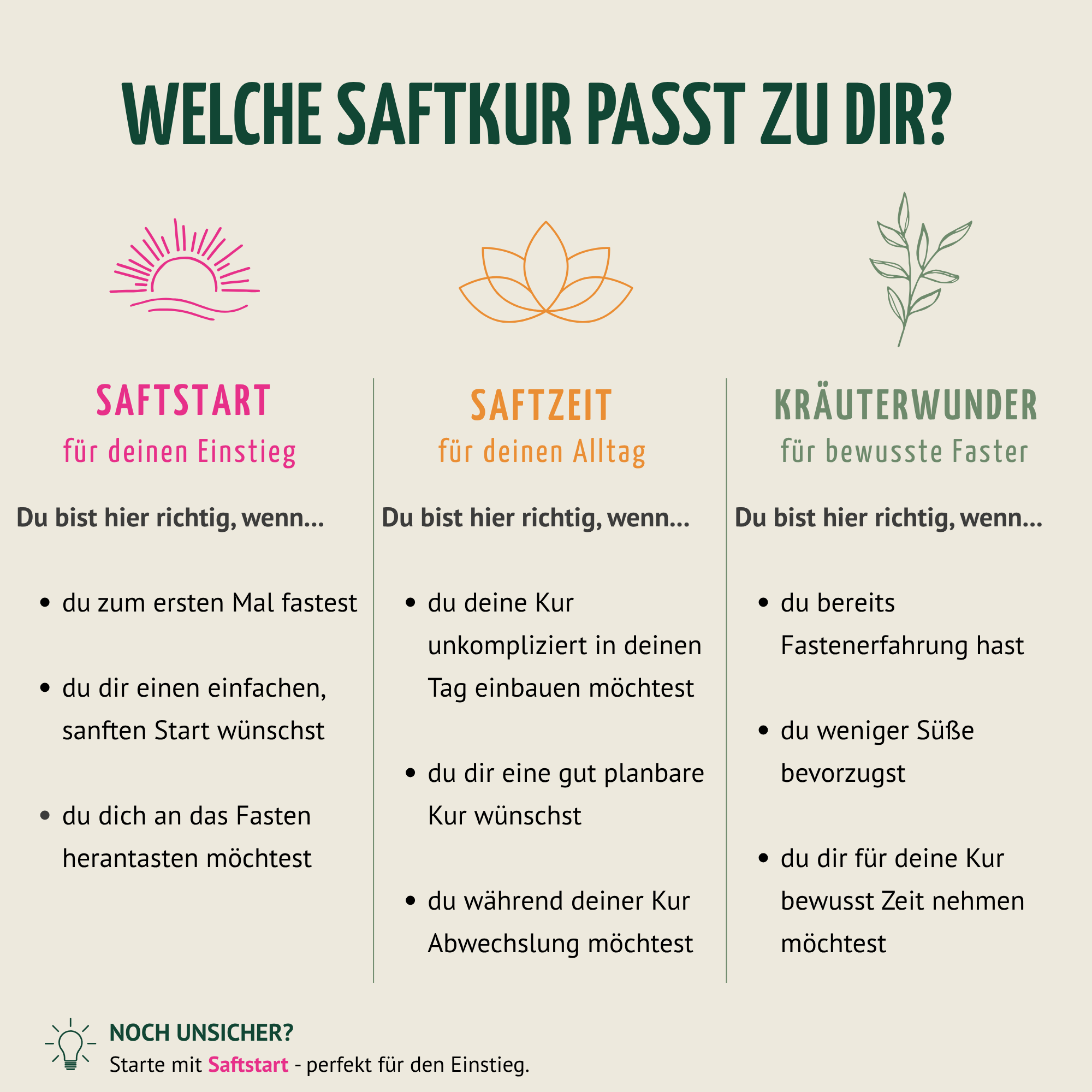 Saftstart Bio Fastenkur 3 Tage (18 Flaschen)